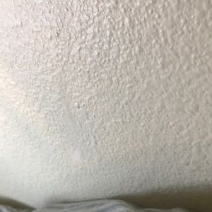 Meet your Posher, Miko